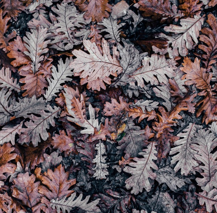 Winter Comes and With it,&nbsp;Rain