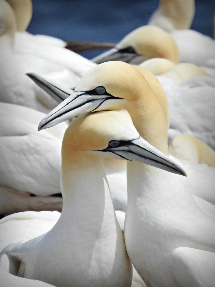 A Moment of Solitude in the Midst of&nbsp;Chaos